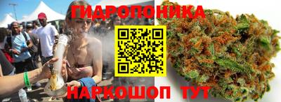 метадон Шелехов