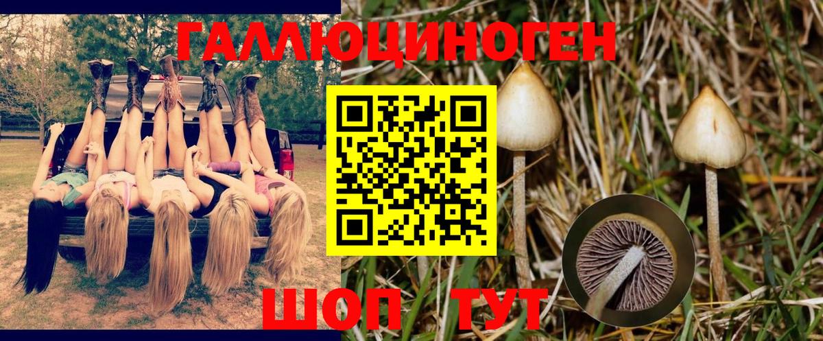 Псилоцибиновые грибы ЛСД  даркнет сайт  Белово  Псилоцибиновые грибы Cubensis  Вход с VPN 